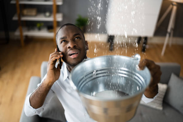 Best Professional water damage repair  in Bowling Green, VA