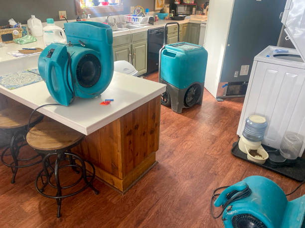 Best Local water damage restoration  in Bowling Green, VA