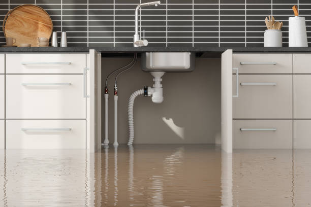 Best Ceiling water damage repair  in Bowling Green, VA